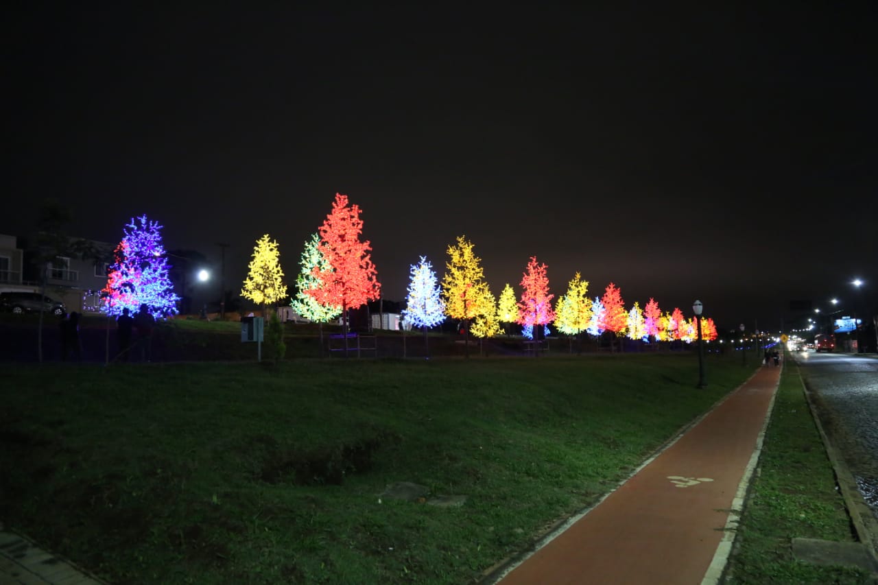 Bosque de Luz é novidade no Natal de PG | Prefeitura Municipal de Ponta  Grossa